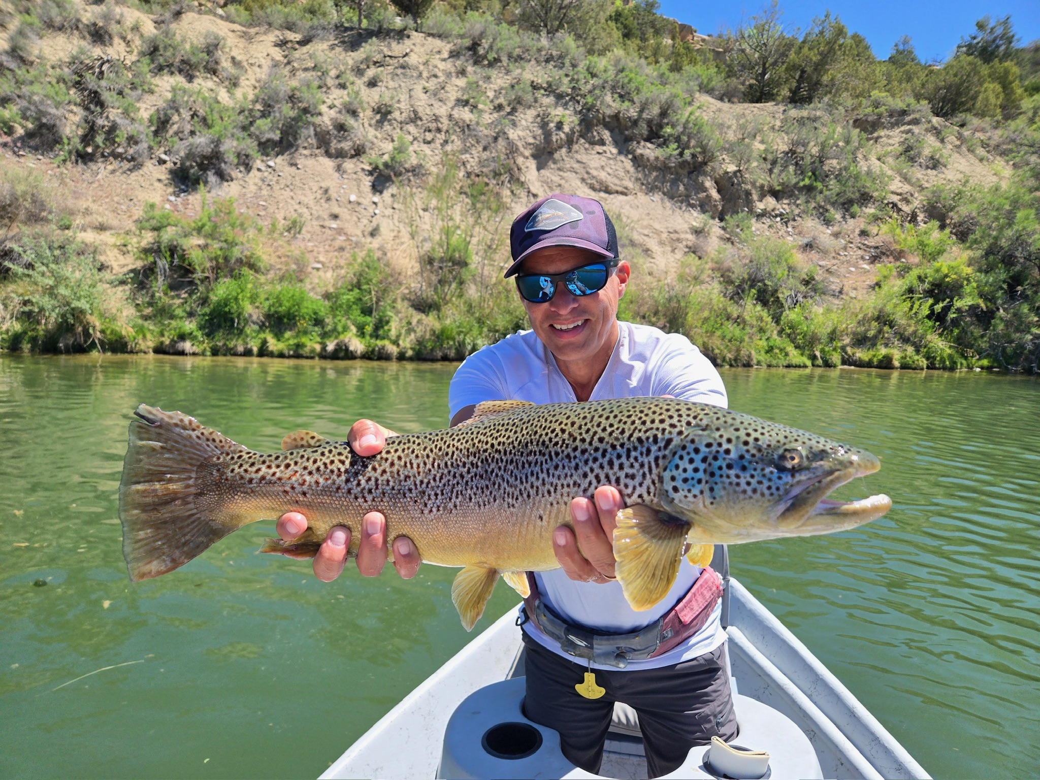 keep flies clean on the san juan river