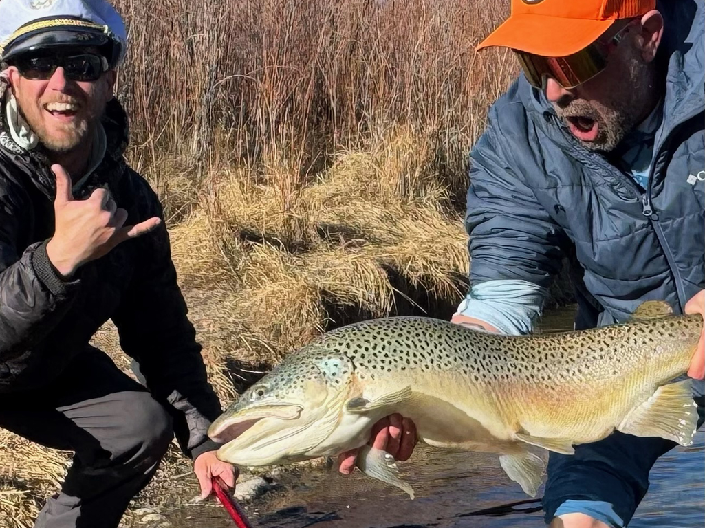Fly fish monsters on the san juan